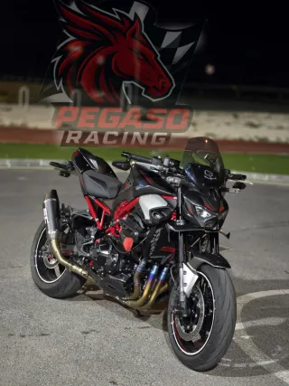COLECTORES Z900 A2 2018-2025