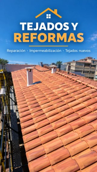 Tejados y Reformas vivar  Tf,642739651