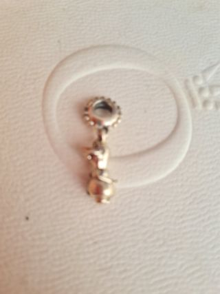 charm pandora 
