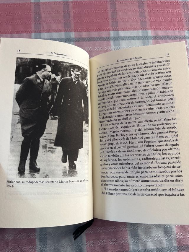 El hundimiento, Hitler y el final del Tercer Reich