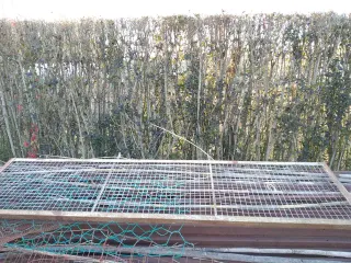 Puerta metálica de persiana Cubells