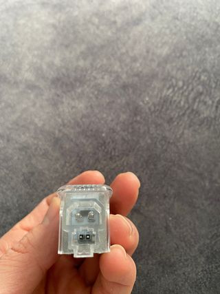 Liz cortesía puerta