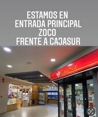 TELÉFONO INALÁMBRICO DAEWOO