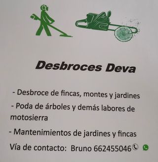 Se realizan trabajos de desbroce