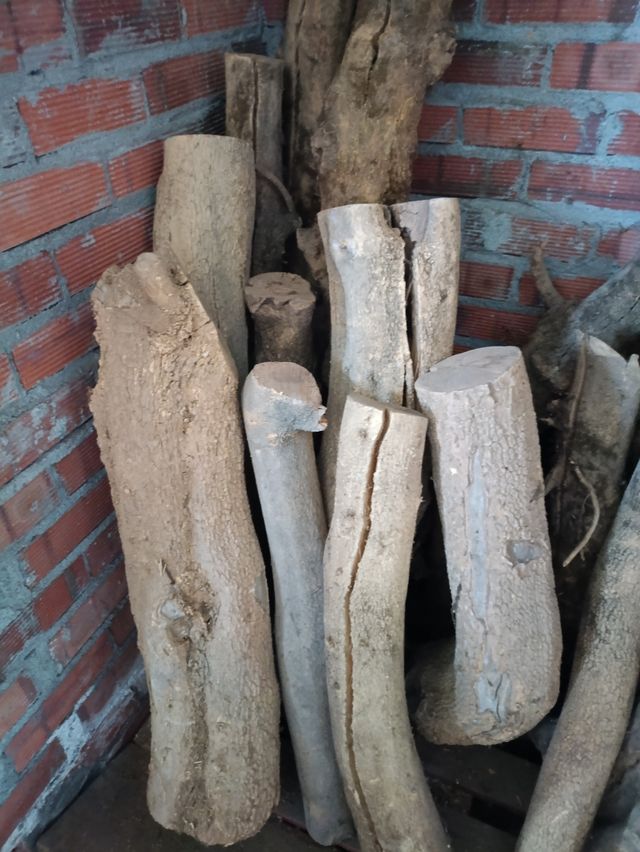 MADERA DE BOJ