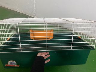 Jaula para conejo