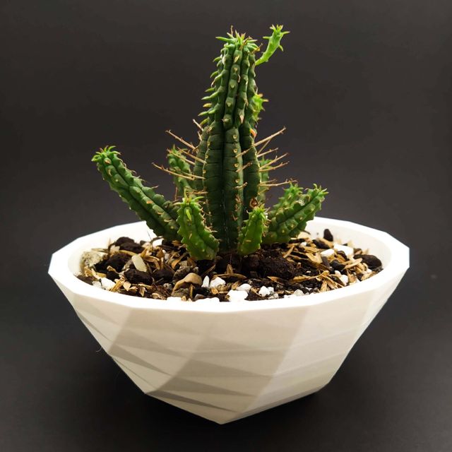 "Personaliza tu espacio con estilo" 3D