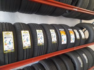 neumaticos 205 55 16 91W  195 65 15 91V 195 55 15