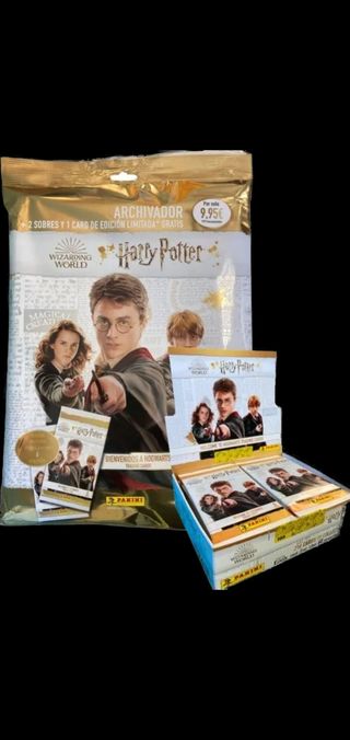 Harry Potter Panini