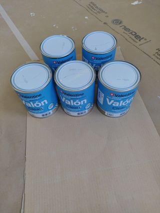 Botes pintura Valon Clean 1kg