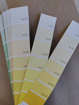 Botes pintura Valon Clean 1kg