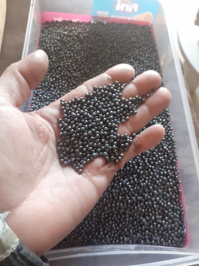 bolitas de lastre 0,2 miligramos cada una