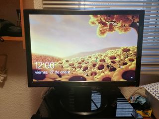 Monitor Asus 19 pulgadas led