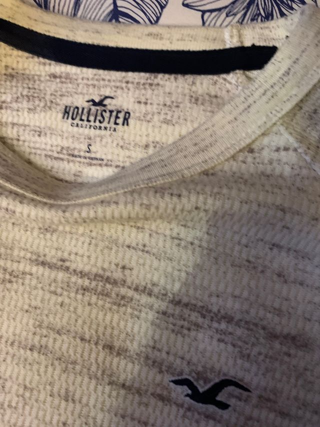 Jersey hollister