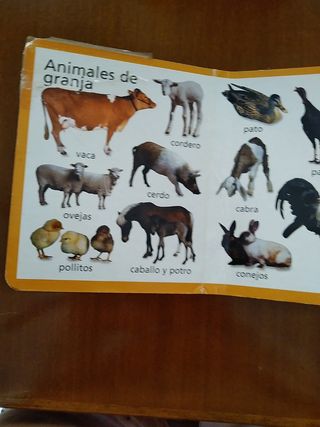 Libro de mis primeros animales.