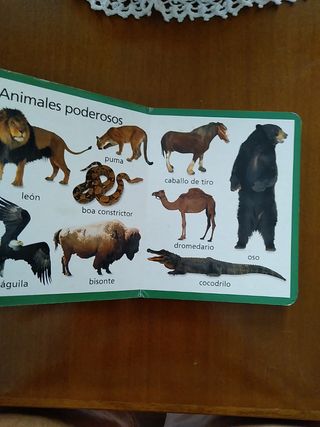 Libro de mis primeros animales.