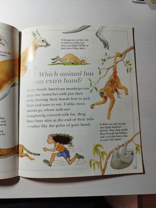 Libro "I wonder why"