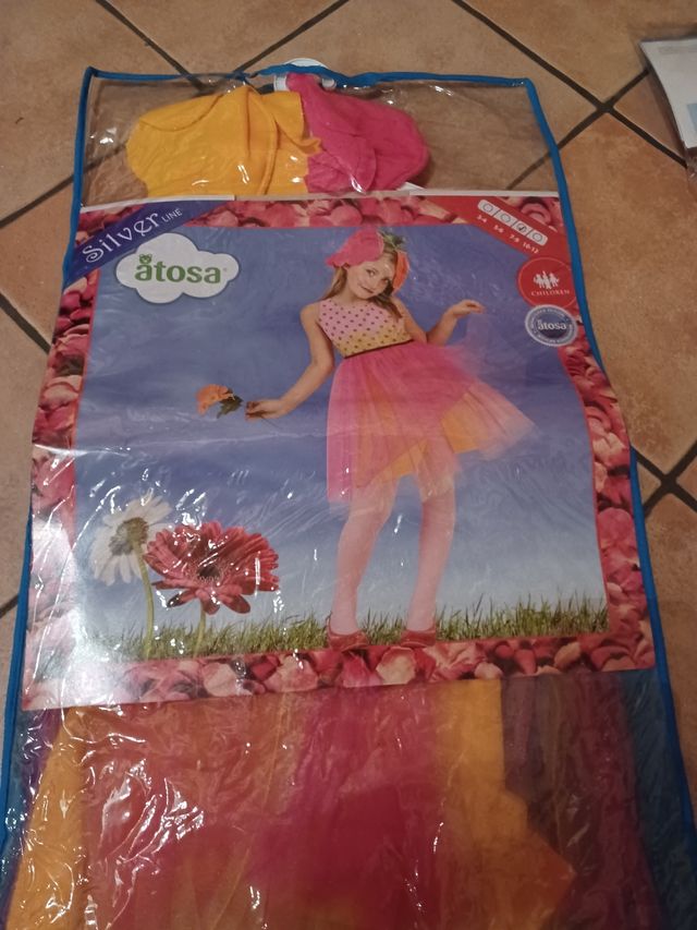 vestito di carnevale bambina