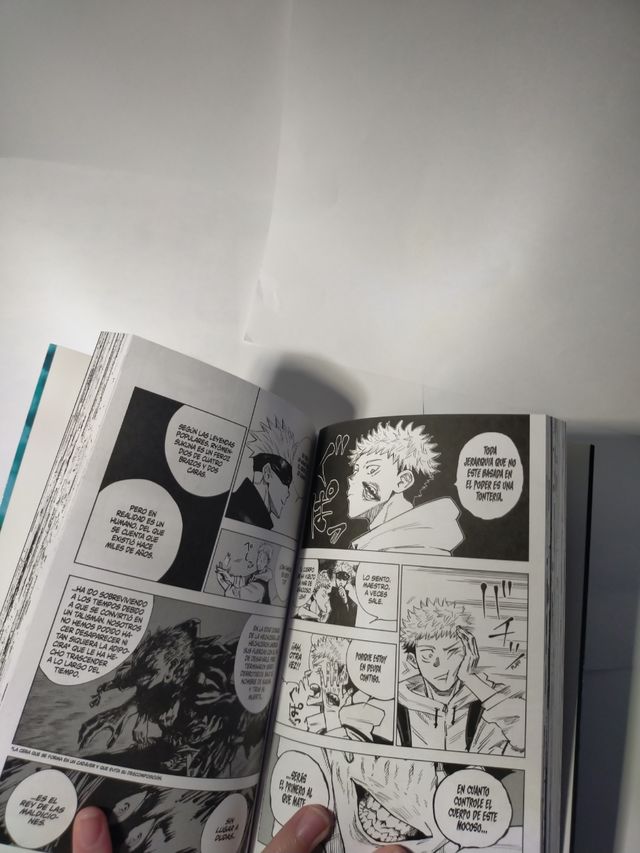 Jujutsu kaisen