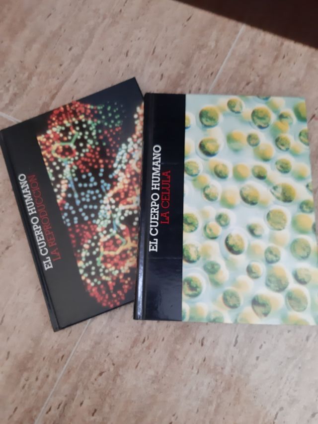 Enciclopedia del cuerpo humano