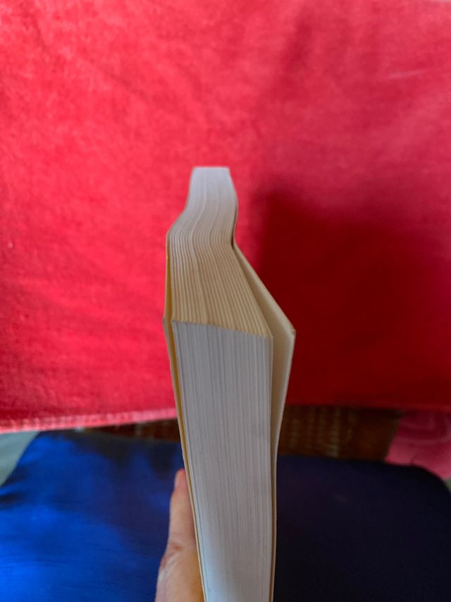 Libro Alcalá de Henares y sus Fiestas Públicas