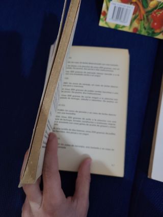 lote de libros de cocina