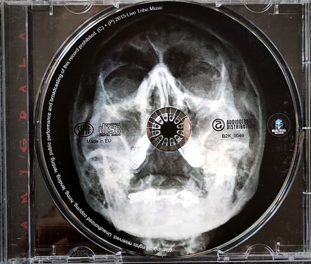 UNREDEEMED: "AMYGDALA" ©2015 feat. Steve Sylvester