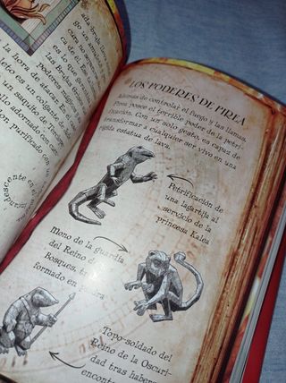 Libro "Bruja de las Llamas"