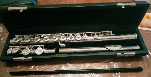 flauta travesera+ libro partituras