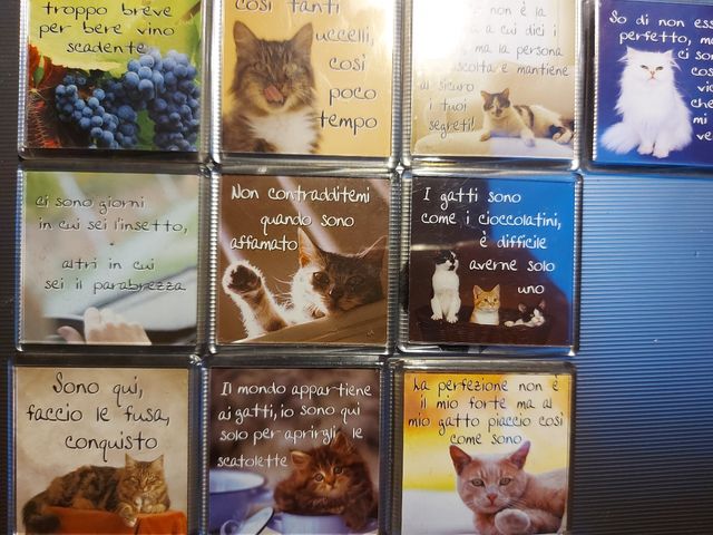 10 magneti calamite con frasi