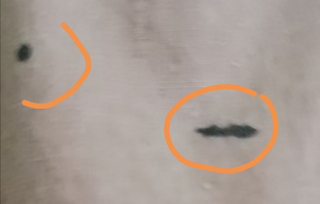 Chaqueta P/V de la Firma Henry Cottons