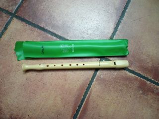 flauta escolar 