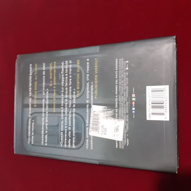 la ragazza del treno