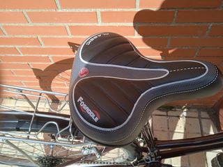 Bicicleta de paseo holandesa PEDKIT