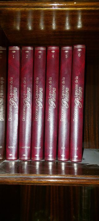 DICCIONARIO LAROUSSE DE LA PINTURA. 6 TOMOS.