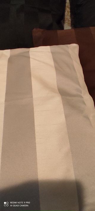 6 COJINES CON RELLENO NUEVOS, 3 EUROS CADA UNO.