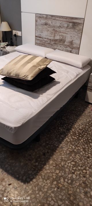 6 COJINES CON RELLENO NUEVOS, 3 EUROS CADA UNO.