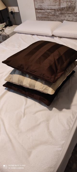 6 COJINES CON RELLENO NUEVOS, 3 EUROS CADA UNO.