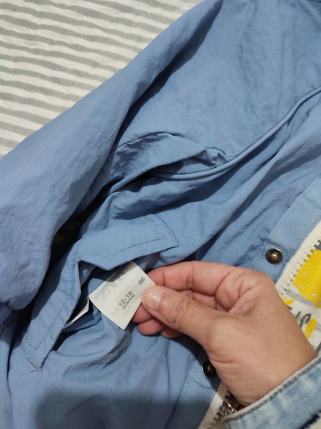 cortavientos de zara