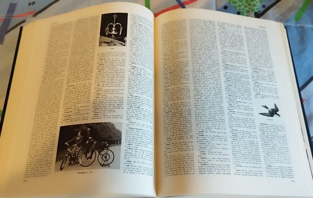 Diccionario Enciclopédico Ilustrado