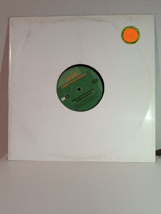 MAXVINILOS - Paul Droid – Extensions