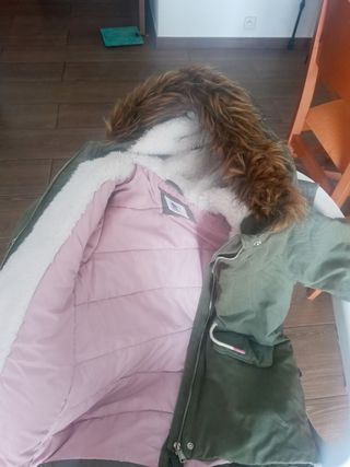 chaqueta niña