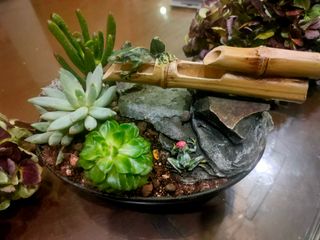 fuente cómo jardinera