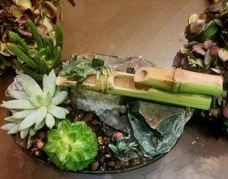 fuente cómo jardinera