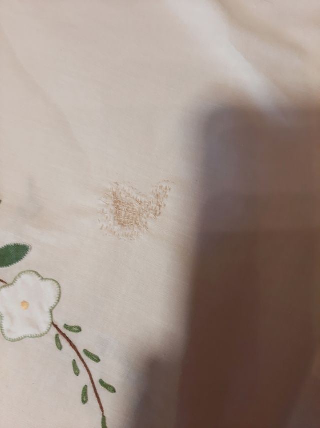 Antigua mantelería bordada a mano,12 servilletas