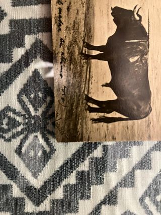 FOTOGRAFÍA TORERO VICENTE PASTOR - DESPEDIDA 1918