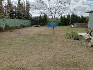 desbrozes y limpieza