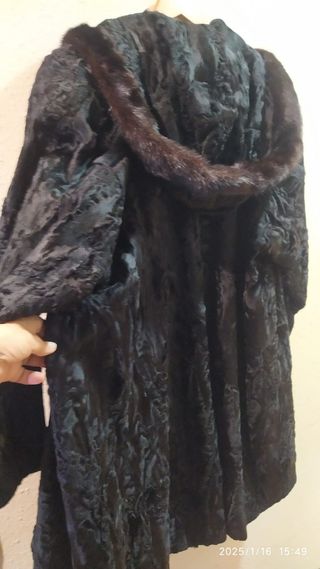 Astracán lomos  juvenil