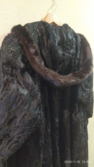 Astracán lomos  juvenil