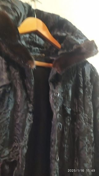 Astracán lomos  juvenil